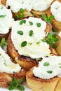 Bruschetta with Ricotta Cheese Royalty Free Stock Photo