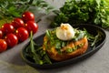 Bruschetta salmon with avocado - salted salmon with guacamole, arugula and poached egg on a warm fried bun
