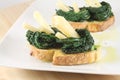 Bruschetta with sheep cheese and black kale Royalty Free Stock Photo