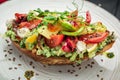 Bruschetta with sun-dried tomatoes, cream cheese, avocado and fresh vegetables Royalty Free Stock Photo