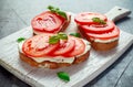Bruschetta, toast with soft cheese, basil and tomatoes on a white wooden board. Italian healthy snack, food. Royalty Free Stock Photo