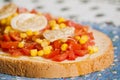 Bruschetta with tomato, onion and corn Royalty Free Stock Photo