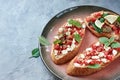 Bruschetta with vegetables and cheese Royalty Free Stock Photo