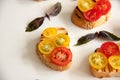 Bruschettes with tomato Royalty Free Stock Photo
