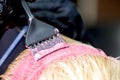 Brush applies pink dye on hair