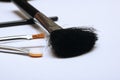 Brush for applying blush, makeup accessories Royalty Free Stock Photo