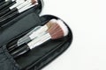 Brush on in black bag cosmetics of make up artist. Royalty Free Stock Photo