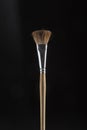 the brush in the black, brush or brush, long wooden stick