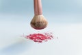Brush and blush. Royalty Free Stock Photo