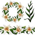 Elements set elegant lily tiger type realistic flowers