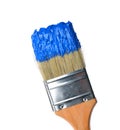 Brush with bright blue paint Royalty Free Stock Photo