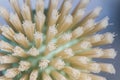 brush bristles close up