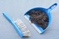 Brush broom with dustpan cleaning human hair