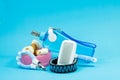 Brush comb, bowl with snacks, collars, nail scissors and water Royalty Free Stock Photo