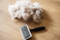Brush for dog hair Royalty Free Stock Photo