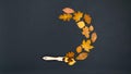 The brush draws a round frame of beautiful autumn yellow and brown maple, oak and birch leaves. Black background Royalty Free Stock Photo