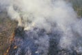 Brush fire, Illinois