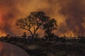 Brush fire in Kruger Park following an attempted controlled burn