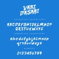 A brush font inspired by Japan, hand-drawn. Lowercase and uppercase letters, and numbers. Lettering. Vector alphabet