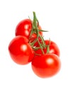 a brush of four large tomatoes on a white background. Studio photo, isolate, tomatoes, washed Royalty Free Stock Photo