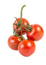 a brush of four large tomatoes on a white background. Studio photo, isolate, tomatoes, washed Royalty Free Stock Photo