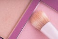 Brush gains pink blush. Professional blusher palette, top view Royalty Free Stock Photo
