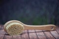 Brush with a handle for massage and for a bath, in natural conditions on a wooden background. Beauty treatments, anticellulite ma