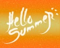 Brush lettering composition.Phrase Hello Summer. Vector illustration EPS10