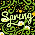 Brush lettering Spring on black background with decorations. The sun point, sun rays, glare, lines, and white daisies. Royalty Free Stock Photo