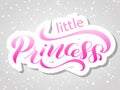 Brush Lettering sticker little Princess. Vector pink illustration