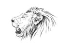 Brush painting ink draw isolated lion illustration Royalty Free Stock Photo