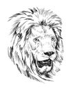 Brush painting ink draw isolated lion illustration