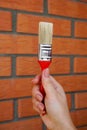 Brush for painting the walls in the girlÃ¢â¬â¢s hand against the background of a wall of facing red brick Royalty Free Stock Photo