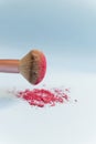 Brush and blush. Royalty Free Stock Photo