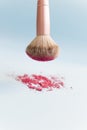 Brush and blush. Royalty Free Stock Photo