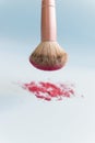 Brush and blush. Royalty Free Stock Photo