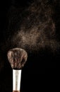 Brush and a powder spread out Royalty Free Stock Photo