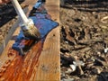 Impregnation of a wooden board with oil applied with a brush Royalty Free Stock Photo