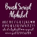 Brush script alphabet font. Hand drawn uppercase and lowercase letters and numbers. Royalty Free Stock Photo
