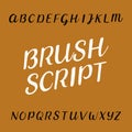 Brush script distressed alphabet vector font