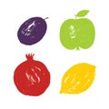 Brush simple stamp hand drawn textured fruits set. Food, lemon, pomegranate, apple, plum