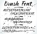 Brush vector alphabet with numbers and punctuation