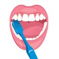 Brush your teeth with Toothbrush. Royalty Free Stock Photo