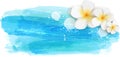 Brushed backgrounds with flowers. Blue colored.