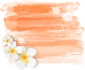 Brushed backgrounds with flowers. Orange colored.