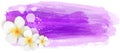 Brushed backgrounds with flowers. Purple colored.