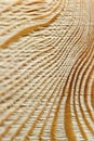 Brushed wood texture Royalty Free Stock Photo