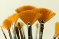 Brushes painter Royalty Free Stock Photo