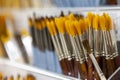 Brushes for painting with watercolor, oil, gouache, acrylic.