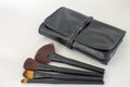 Brushes set for make up artist Royalty Free Stock Photo